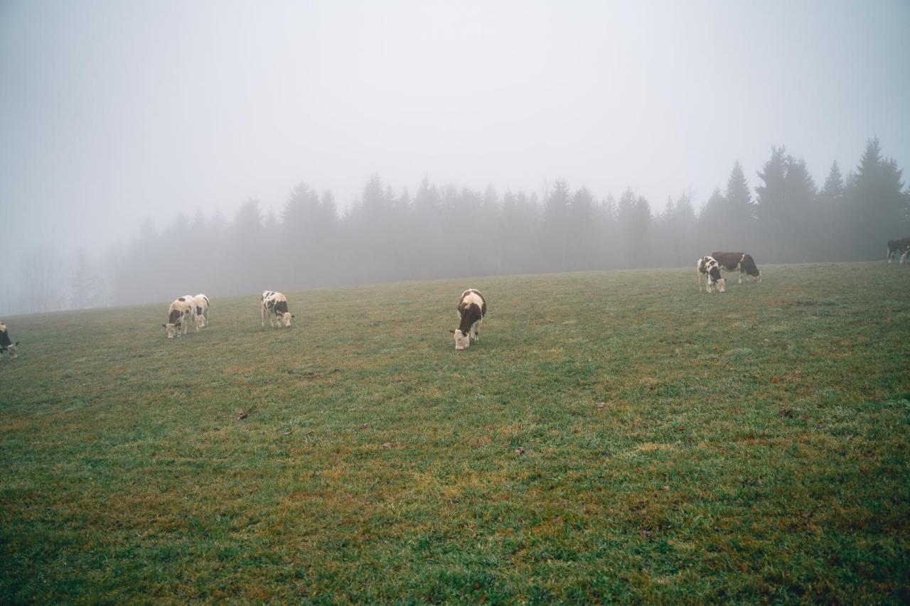 Turnovska Chata Korenov Bagian luar foto